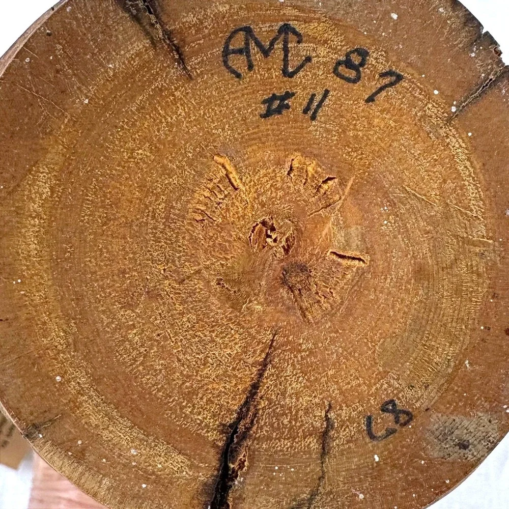 Vintage Casa de Madera Colorado Bristlecone Pine Wood Turning Vase 1987 Signed